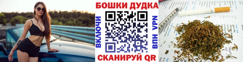 Конопля индика Велиж